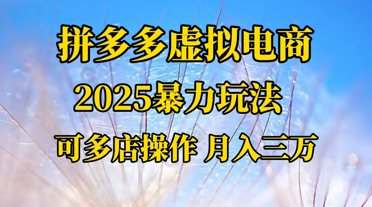 拼多多虚拟电商，不囤货不垫资的虚拟电商云创网-网创项目资源站-副业项目-创业项目-搞钱项目云创网