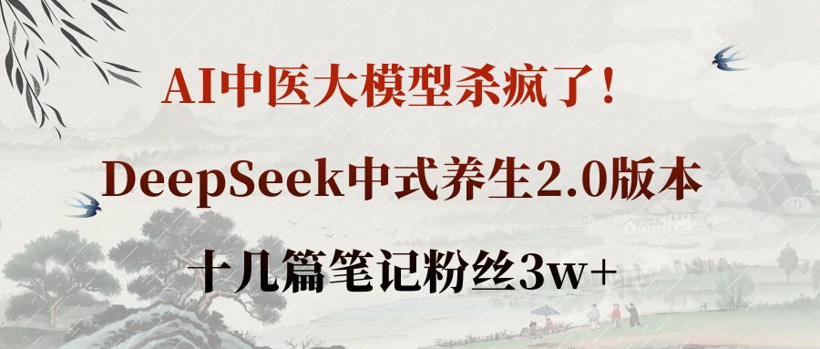AI中医大模型杀疯了！DeepSeek中式养生2.0版本，十几篇笔记粉丝3w+云创网-网创项目资源站-副业项目-创业项目-搞钱项目云创网