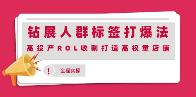 钻展人群标签打爆法，高投产ROL收割打造高权重店铺(全程实操)云创网-网创项目资源站-副业项目-创业项目-搞钱项目云创网